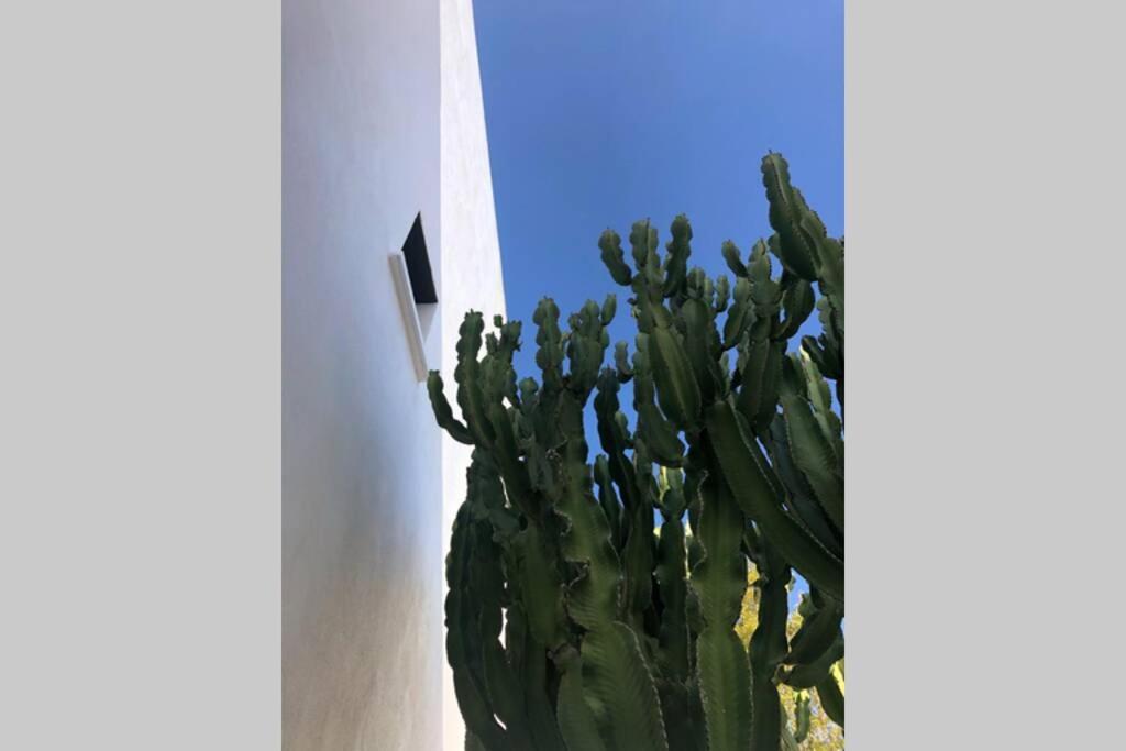 Casa Granado En Cabo De Gata Vila Rodalquilar Exterior foto